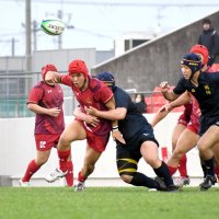 流通経大柏―国学院栃木　後半、タックルされるも前進を試みる流通経大柏・佐藤（中央手前）＝花園