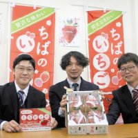 千葉のイチゴ今冬も手応え　寒さ本格化、甘みに期待　県内生産者シーズン前にＰＲ