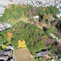 下田の杜里山フォーラム「地域再生大賞」優秀賞に　柏で活動
