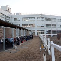 廃校が「馬」学ぶ場に　ＪＲＡ騎手や厩務員輩出　山武　東関東馬事高等学院　【房総うま物語】（７）