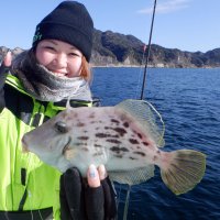 保田沖で釣り上げたカワハギ（写真は「村井丸」提供）