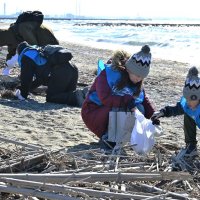 幕張の浜きれいに　ＮＴＴ東日本３００人、プラごみ拾い