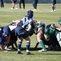 決勝は流通経大柏ＶＳ東海大浦安　ラグビー　千葉県高校新人大会
