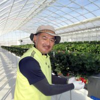 農業で多様な働き方を　ストラクスガルテン（東金市）　【輝く！千葉の企業　日本政策金融公庫レポート】（１３３）