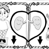＜腎臓病予防と食事＞　栄養成分偏りが負担に　【現代食事考】（１７５７）