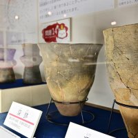 指定された文化財の一部は千葉市立加曽利貝塚博物館で展示されている