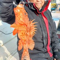 飯岡沖でゲットしたオニカサゴ（写真は「清勝丸」提供）
