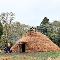 火起こしで安全祈願　千葉市加曽利貝塚　竪穴住居新築　３日から公開「縄文感じて」
