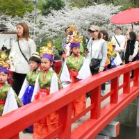 桜の下で華やかに　茂原公園で稚児行列　藻原寺の花まつり