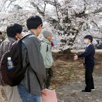 成東高校に春の訪れ　多種多様な桜楽しむ　山武市
