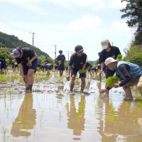 農家の人のアドバイスを聞きながら田植えを進める中学生＝２８日、勝浦市