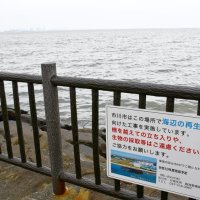 市川市が計画する「人工干潟」工事現場。看板には、２０２８年度完成予定とある＝市川市