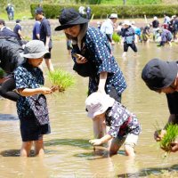 幽学の史跡で田植え　かすり姿、親子ら楽しむ　旭