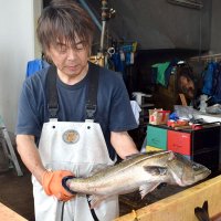 【動画あり】「瞬〆スズキ」旬到来　抜群の食感とうま味、魅力　船橋漁港