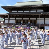 ５００人息合った総踊り　参道、大本堂前で華麗な舞　成田山平和大塔まつり