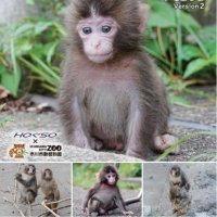 パンチ応援第２弾乗車券　成長する姿の写真散りばめ　北総鉄道１７日発売