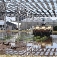 次世代太陽電池で「水田発電」　千葉大や千葉銀など５者、柏の葉で国内初　稲の生育、品質への影響を検証