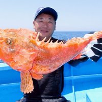 館山沖で釣り上げたオニカサゴ（写真は「真澄丸」提供）