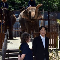 坂本園長（左）に質問されながらゾウをご覧になる秋篠宮さま＝１９日、市原ぞうの国