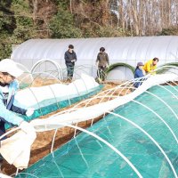 掘り起こせ新規就農者　「農業県」千葉　各自治体が試行錯誤　体験会、研修先紹介…　農地確保、機械購入に課題も