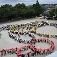 校庭に描かれたハチの人文字