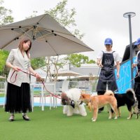「愛犬と理想的時間を」　閉園の観光施設活用　茂原にドッグリゾート