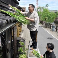 「菖蒲葺き」で無病息災　強い香りで邪気払い　香取・佐原地区