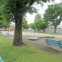 行徳モスクの犠牲祭、公園は「礼拝なし」で利用へ　交流活動のみ実施　市川市とモスク側で協議