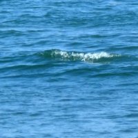 「友人が波に流され、姿が見えなくなった」　２０代男性が流される、一宮で水難事故