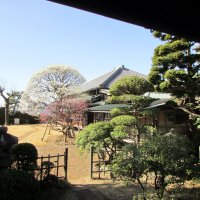 歴史スポット随所に　土木遺産や戸定邸巡る　松戸駅（ＪＲ常磐線・上野東京ライン、京成松戸線）　【駅から２Ｋｍのおもしろ散歩　千葉地理学会】