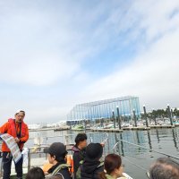 三番瀬クルーズと市川漁港