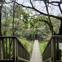 散策路「緑の国」入口