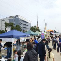 市川漁港の朝市