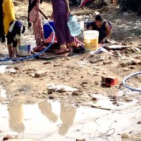 タフでなければ生きられない　インドへの旅（３）　【鳥光宏の旅と文学】（５４）