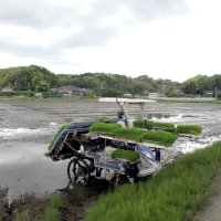 あぜを取り除き大型化した水田