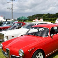 田園風景が広がるあじさい公園に約７０台の名車が展示された＝多古町
