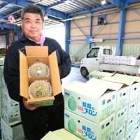 恒例「初夏の味」お届け　飯岡メロン出荷始まる　濃厚爽やかな甘み　旭
