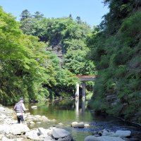 新緑の養老川でアユ釣りを楽しむ太公望＝１日、大多喜町