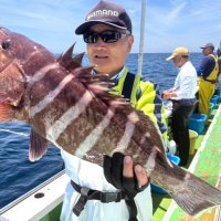 洲崎南沖で釣り上げたマハタ（写真は「萬栄丸」提供）