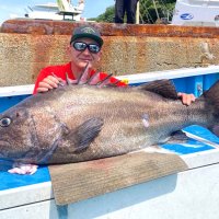 洲崎南沖で釣り上げたイシナギ（写真は「萬栄丸」提供）