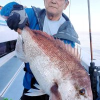 鹿島沖で釣り上げたマダイ（写真は「幸栄丸」提供）