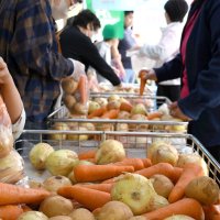 ジャガイモ、ニンジン、タマネギも！　野菜詰め放題人気、ＪＡいすみ感謝祭