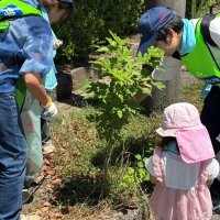 社員、家族ら清掃活動　三井化学市原工場