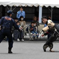 成田空港守る仕事紹介　千葉県警空警隊で就職説明会
