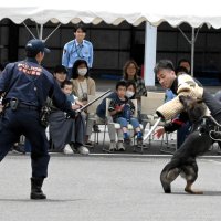 合同就職説明会で披露された不審者の確保訓練＝成田市