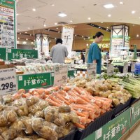 千葉市産の旬の野菜が並んだ「千葉市フェア」＝１１日、同市緑区のイオンスタイル鎌取
