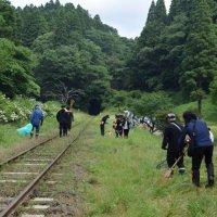 小湊鉄道の線路周辺で除草作業をする参加者＝１３日、市原市