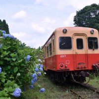 草作業の手を休め小湊鉄道の乗客らに手を振る参加者＝１３日、市原市