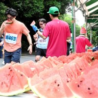 「給スイカ所」で特産のスイカを頬張るランナー＝富里市