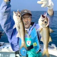 洲崎南クロムツ「ツ抜け」も　木更津・中ノ瀬シロギス好釣　【今週の釣果】